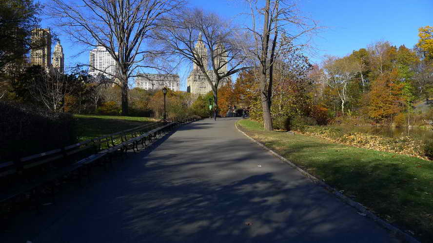 NYC_2017-11-23 11-21-55_P1140139